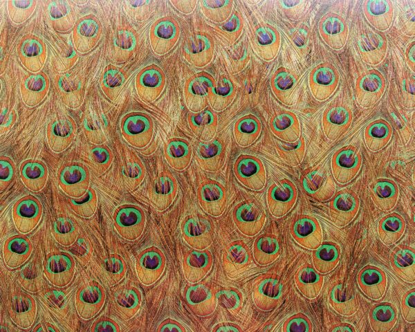 Coordonné Random Metallics Peafowl - Gold - Image 3