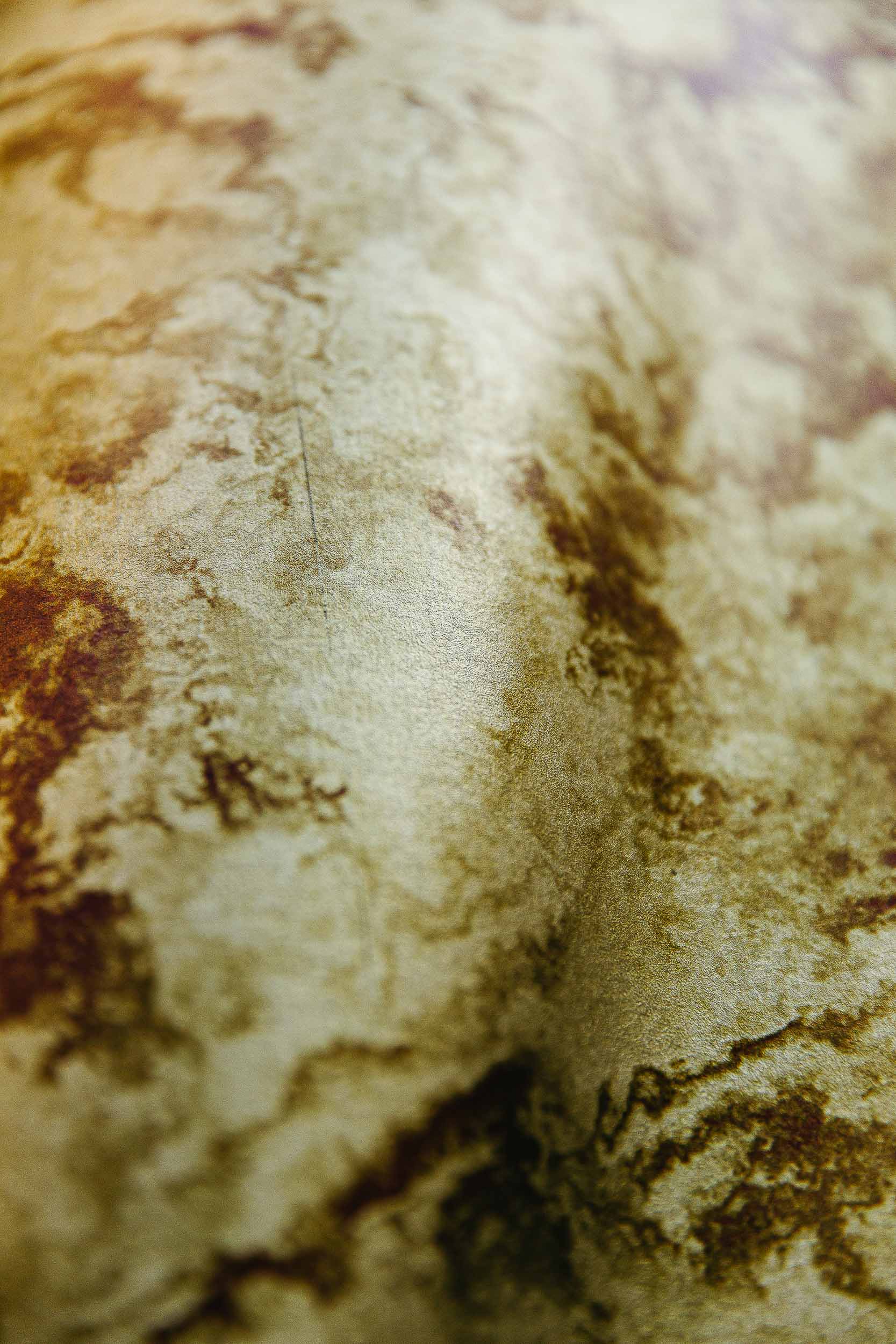 Coordonné Random Metallics Star Colission - Extra Gold - Image 4