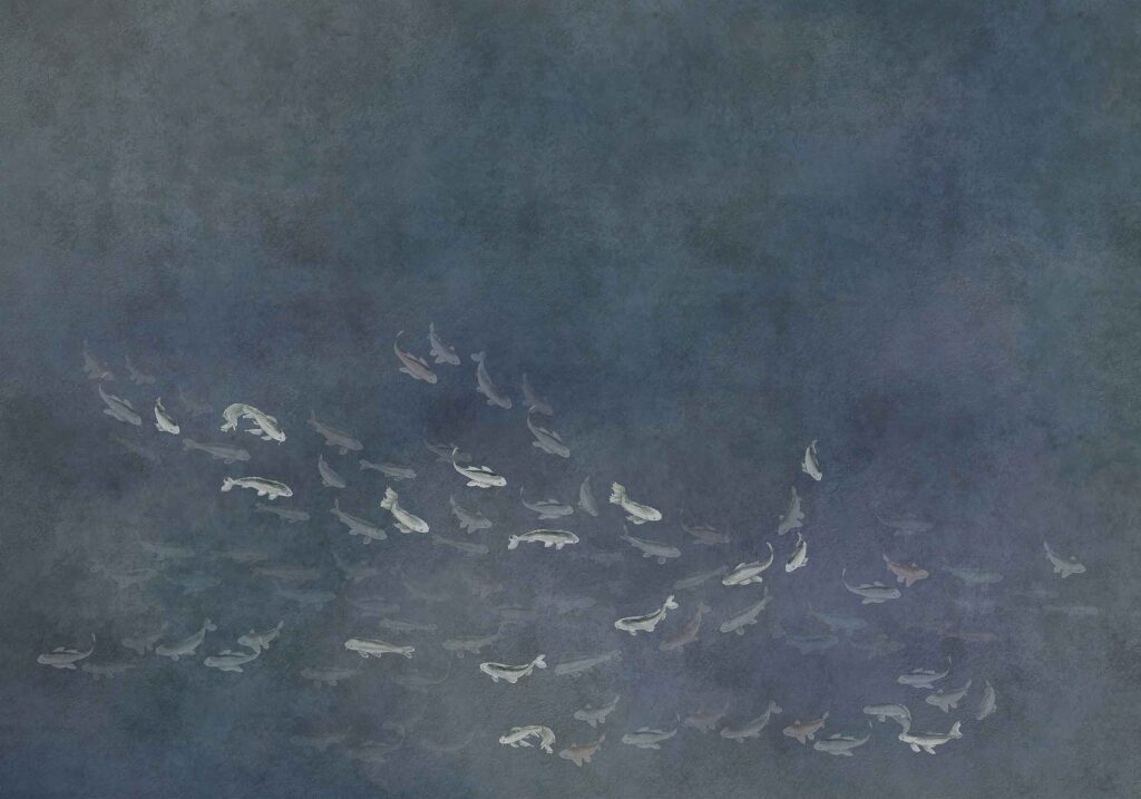 Coordonne Random Chinoiseries II Koi Dark featuring elegant koi fish and intricate chinoiserie patterns in a dark, sophisticated palette, ideal for creating a dramatic and luxurious atmosphere.