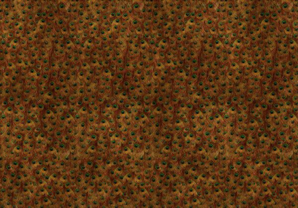 Coordonné Random Metallics Peafowl - Gold