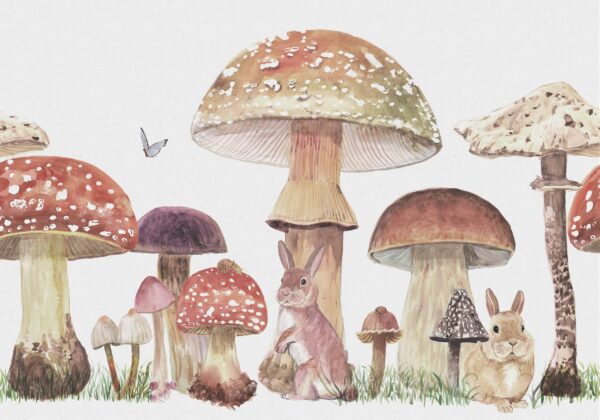 Coordonné Random Kids Sweet forest - Peach Mural