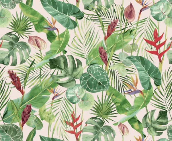 Emily Baker Studio Tropical - Blush