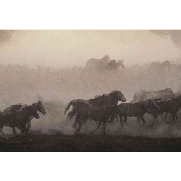 Wall Dreamer Panoramic Wallpaper Horses Stampede - Gris WAD0032-1 - Image 2