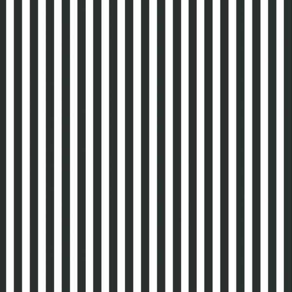 Wall Dreamer Panoramic wallpaper Rayure Vintage Noir WAD0228-5