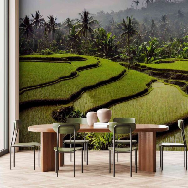Wall Dreamer Panoramic Wallpaper Rice Field Harmony WAD0094 - Image 3