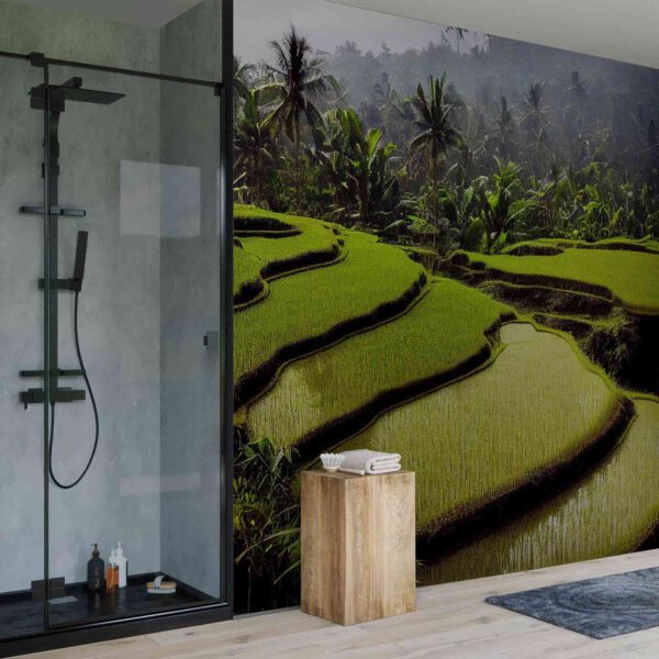 Wall Dreamer Panoramic Wallpaper Rice Field Harmony WAD0094 - Image 5
