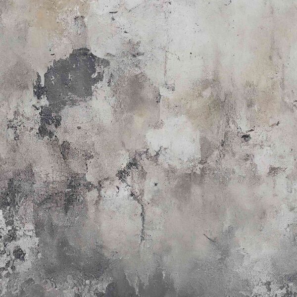 Wall Dreamer Panoramic wallpaper Scraped wall WAD0170